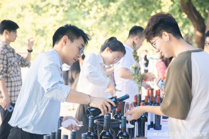ab娱乐官网官方网站入口说明