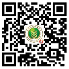 对照阅读