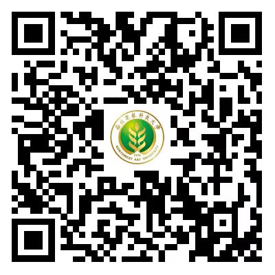 列表适合快速定位