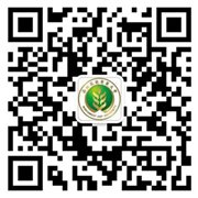 ab娱乐官网官方网站入口说明」的上下