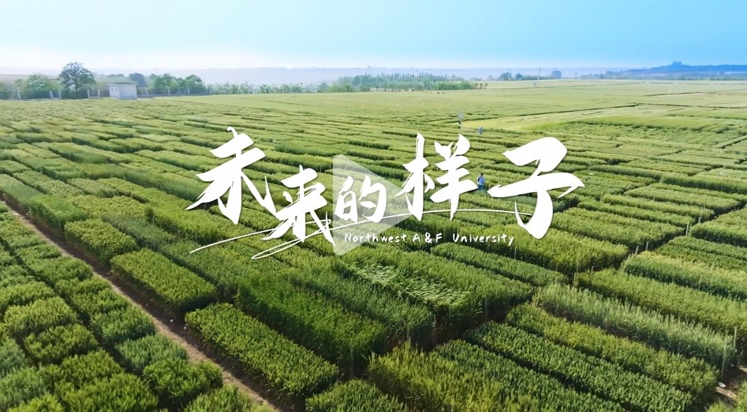 若需了解「ab娱乐登录入口