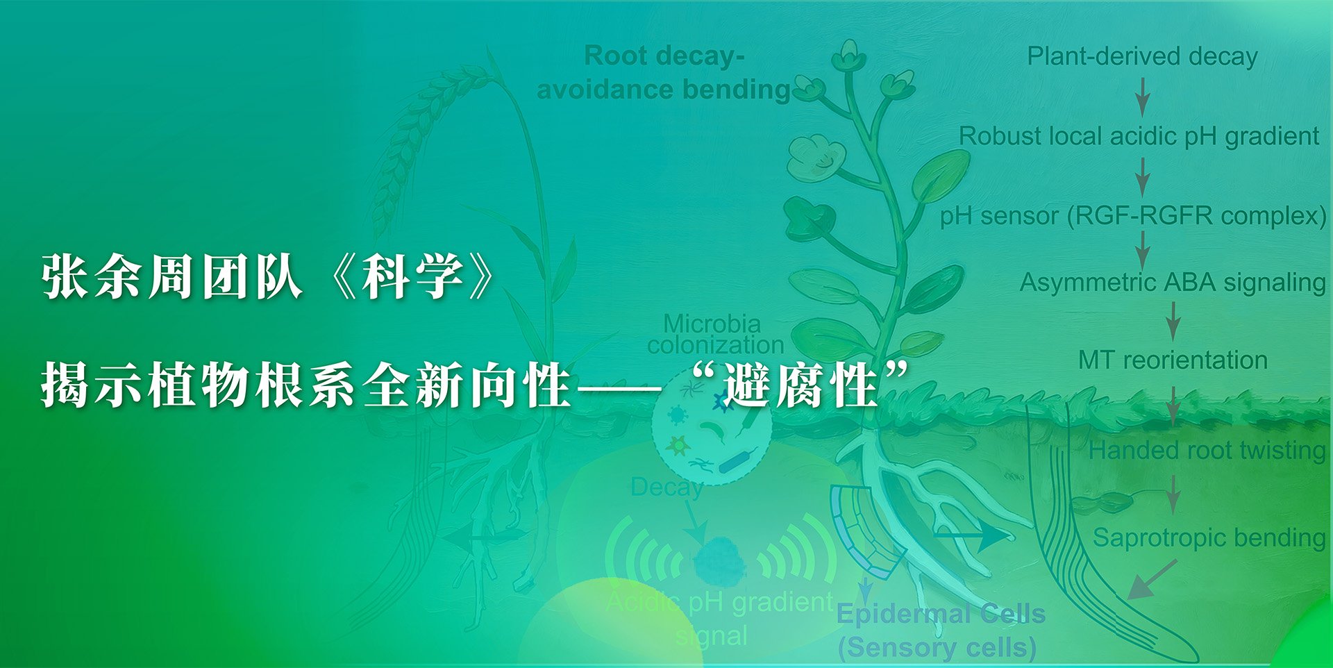文内链接用于对照细节